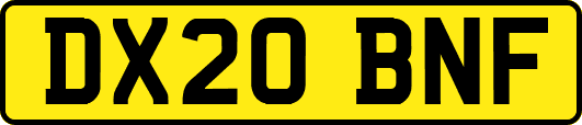 DX20BNF