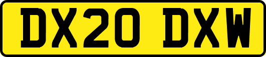DX20DXW
