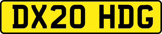 DX20HDG