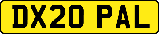 DX20PAL