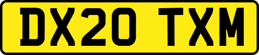 DX20TXM