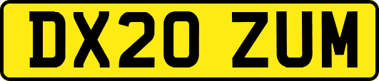 DX20ZUM