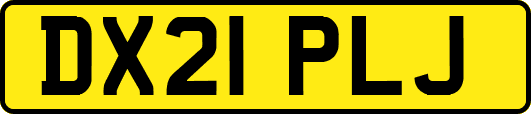 DX21PLJ