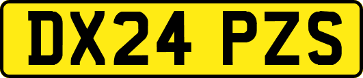 DX24PZS
