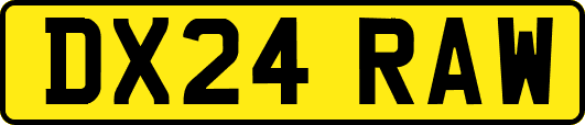 DX24RAW