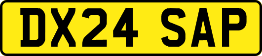 DX24SAP