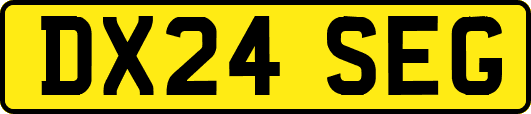 DX24SEG