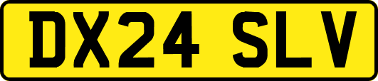 DX24SLV