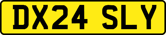 DX24SLY