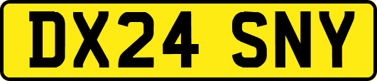 DX24SNY