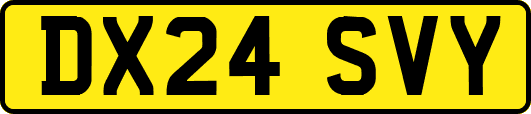 DX24SVY