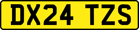 DX24TZS