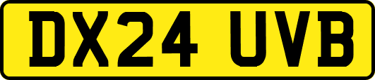 DX24UVB