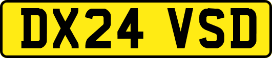 DX24VSD