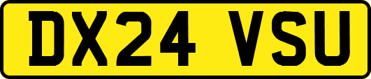 DX24VSU