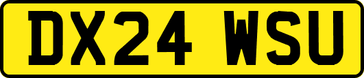 DX24WSU