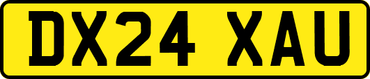 DX24XAU