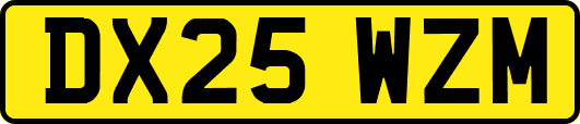 DX25WZM