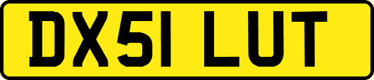 DX51LUT