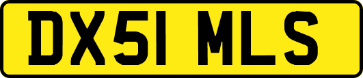 DX51MLS