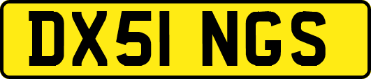 DX51NGS