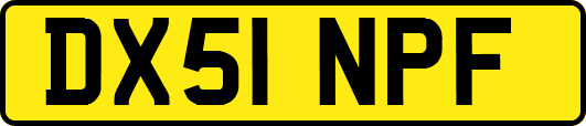 DX51NPF