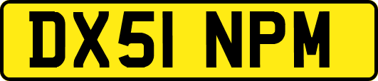 DX51NPM