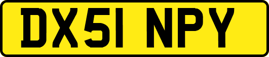 DX51NPY