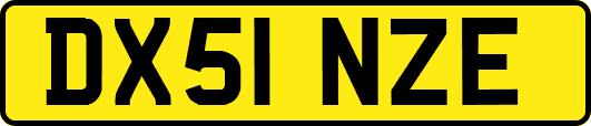 DX51NZE