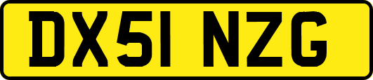 DX51NZG