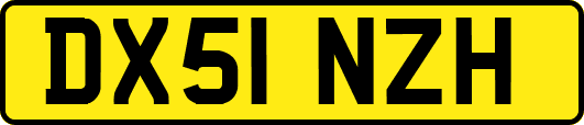 DX51NZH