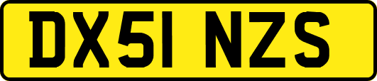 DX51NZS