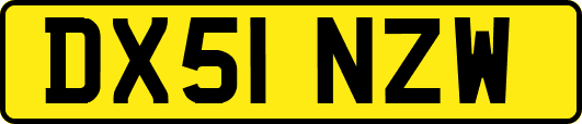 DX51NZW