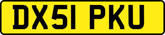 DX51PKU