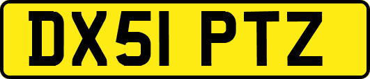 DX51PTZ