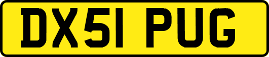 DX51PUG