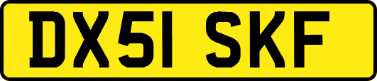 DX51SKF