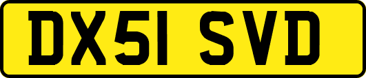 DX51SVD