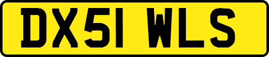 DX51WLS