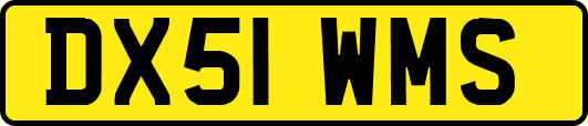 DX51WMS