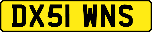 DX51WNS