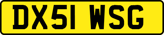 DX51WSG