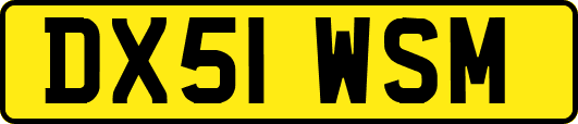 DX51WSM