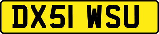 DX51WSU