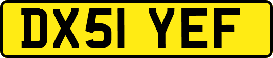 DX51YEF