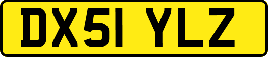 DX51YLZ