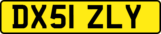 DX51ZLY