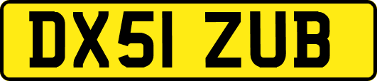 DX51ZUB