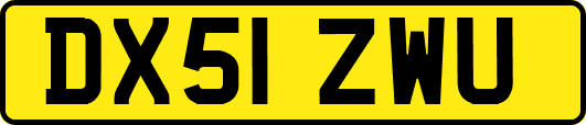 DX51ZWU