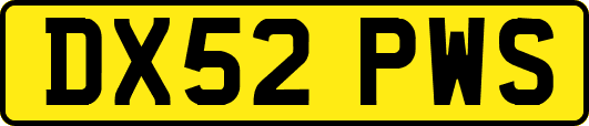 DX52PWS